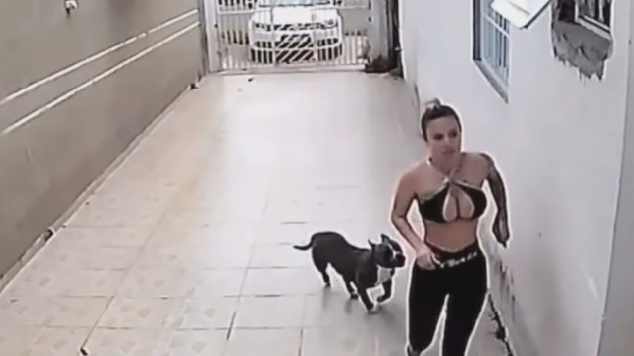 40-LUCKIEST-PEOPLE-CAUGHT-ON-CAMERA-attachment