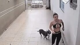 40-LUCKIEST-PEOPLE-CAUGHT-ON-CAMERA-attachment