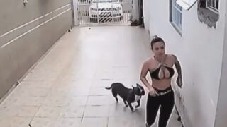 40-LUCKIEST-PEOPLE-CAUGHT-ON-CAMERA-attachment