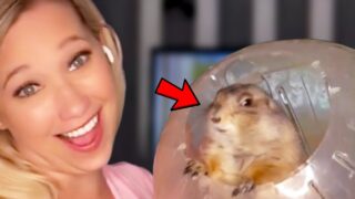 Best-Animals-News-Bloopers-2020-attachment