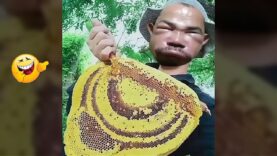 TOTAL-IDIOTS-AT-WORK-59-Fail-Compilation-2022-attachment